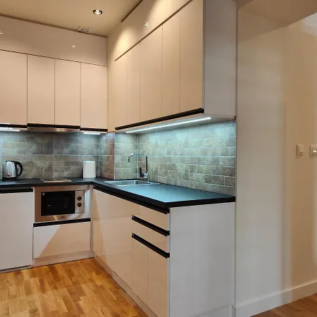 Center Dorcol Square Daire Belgrad